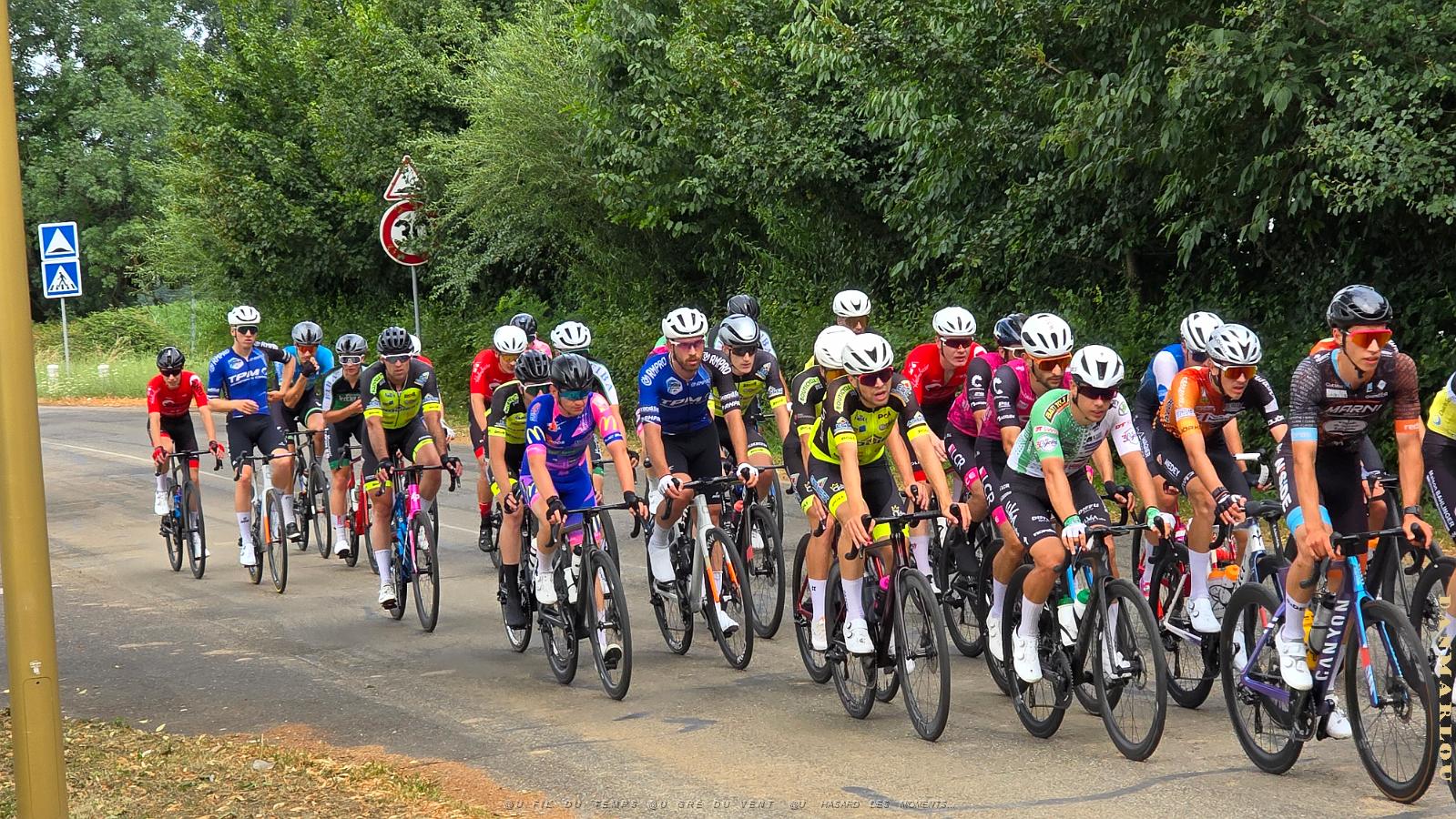 20250706_151951 course de lampertheim de passage a nieder.jpg